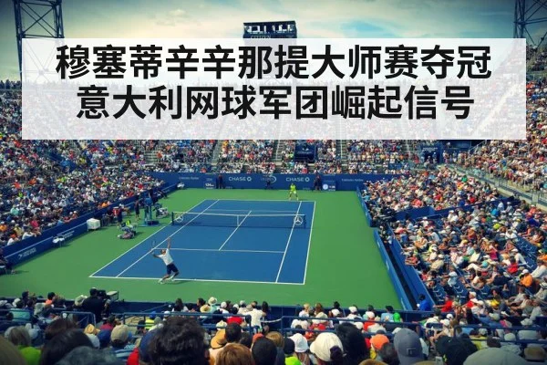 professional tennis match