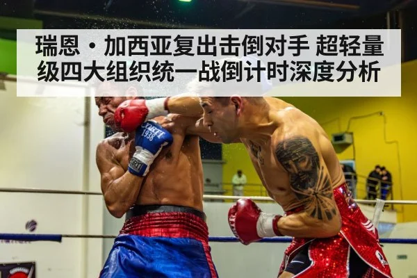 瑞恩·加西亚复出击倒对手 超轻量级四大组织统一战倒计时深度分析